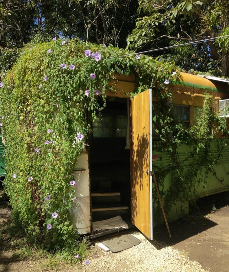 Hospedaje Combi Dream Bird Apartment Playas del Coco Exterior photo