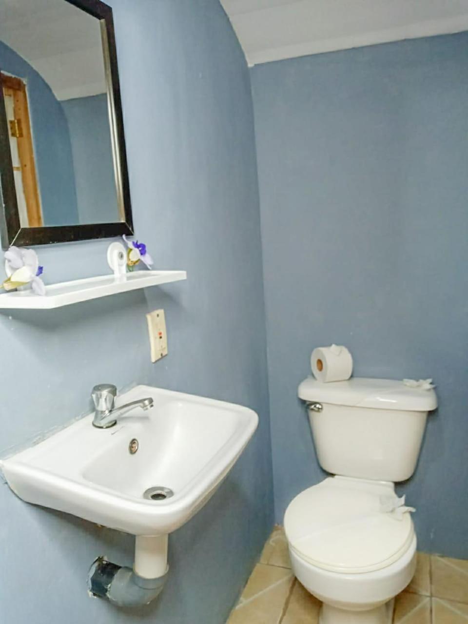 Hospedaje Combi Dream Bird Apartment Playas del Coco Exterior photo